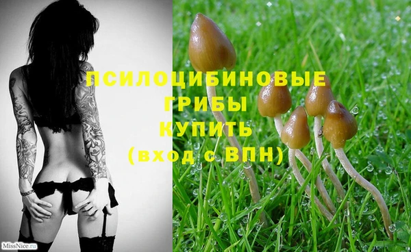 крисы Абинск