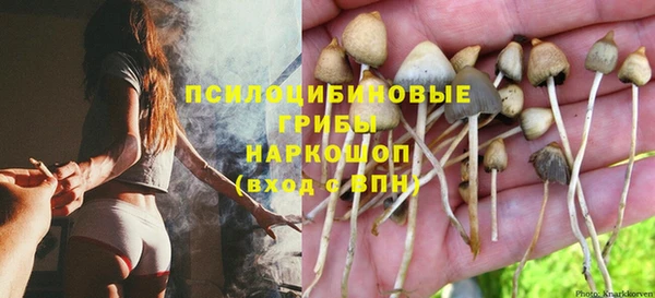 гашиш Абаза